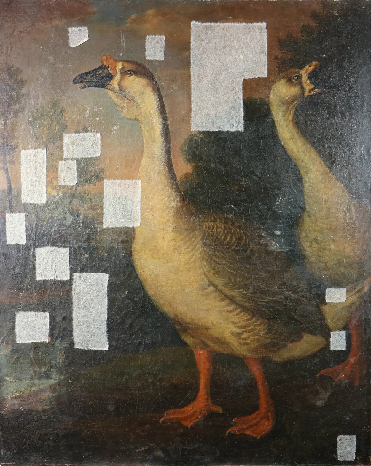 Deux oiseaux ou oiseaux aquatiques, Anonyme, XIXes, 91 x 75 cm, musée Inguimbertine, Carpentras